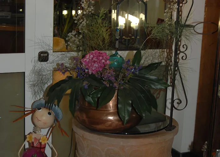 圣克鲁斯酒店 酒店